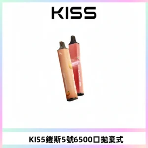 KIS5鎧斯5號一次性6500口磁吸式拋棄式電子煙#自由混搭#