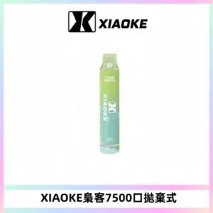 XIAOKE梟客7500Puffs跑馬燈拋棄式電子煙 可發光一次性